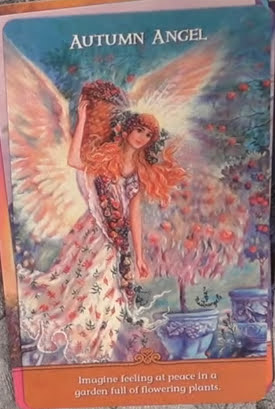 Inspirational Wisdom from Angels & Fairies - Вдохновляющая Мудрость Ангелов и Фей